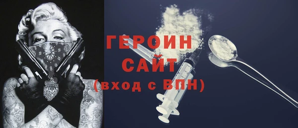 индика Алексин