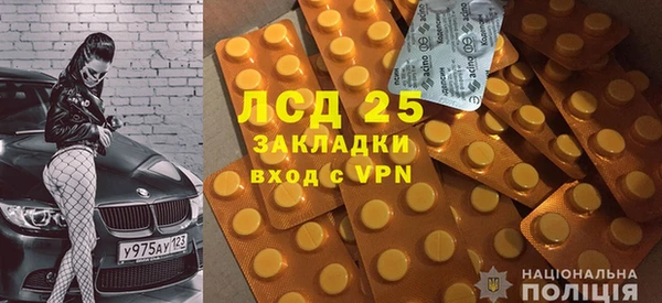 индика Алексин