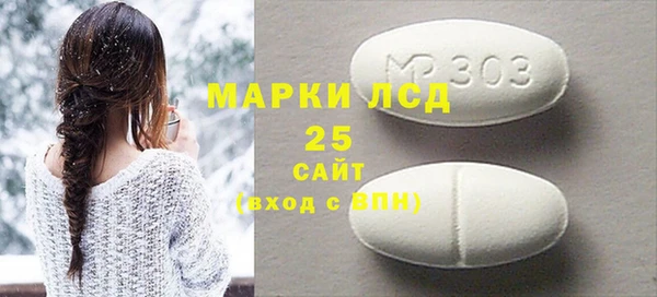 индика Алексин